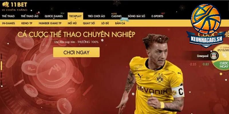 Nhược điểm