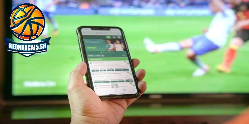 kết quả bóng đá Cúp C1 Châu Âu